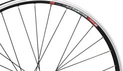 Roue DT Swiss 535 + Shimano T3000 / DH-C3000 26" 20 Roue DT Swiss 535 + Shimano T3000 / DH-C3000 26" -Fournitures Pour Vélos 299602