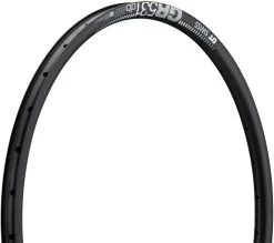 Dt-swiss Jante GR 531 Disc 28"