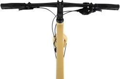 Vélo Pour Hommes Modell 1 Campus Edition -Fournitures Pour Vélos 339770