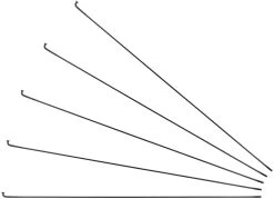 Sapim Rayons D-Light J-Bend + Écrous - 5 Pièces
