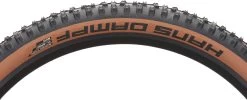 Schwalbe Pneu Souple Hans Dampf Evolution ADDIX Soft Super Trail 29" -Fournitures Pour Vélos 449599