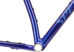 Specialized Kit De Cadre Chisel LTD 29" -Fournitures Pour Vélos 502380